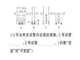 初中生物新北师大版七年级下册期末实验探究题作业课件2025春