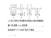 初中生物新北师大版七年级下册期末实验探究题作业课件2025春