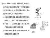 初中生物新北师大版七年级下册期末识图理解题作业课件2025春
