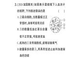 初中生物新北师大版七年级下册期末识图理解题作业课件2025春