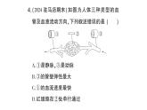 初中生物新北师大版七年级下册期末识图理解题作业课件2025春