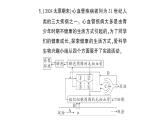 初中生物新北师大版七年级下册期末项目式学习作业课件2025春