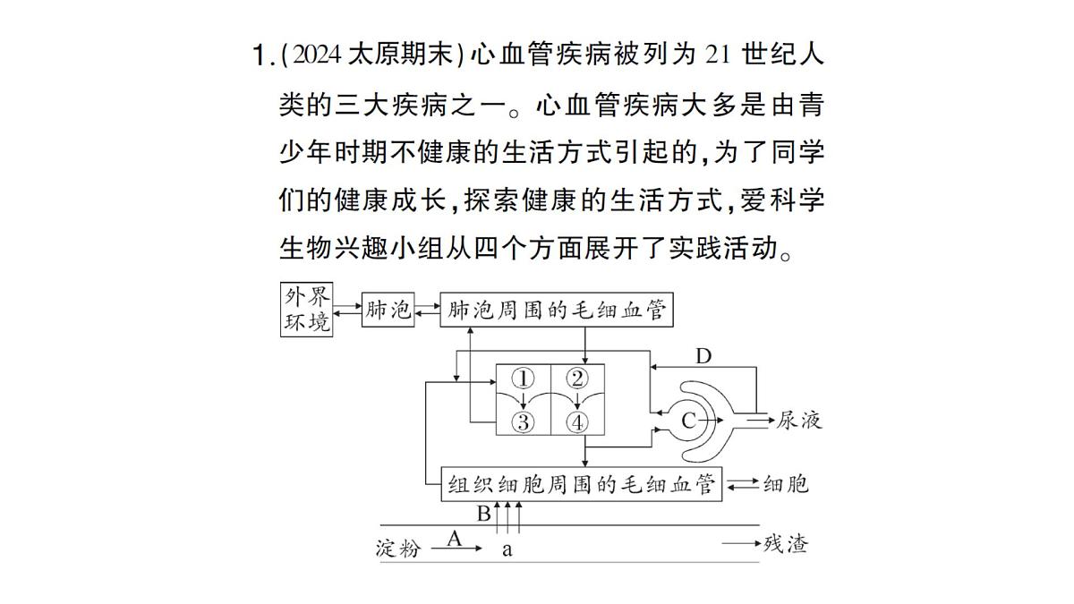 初中生物新北师大版七年级下册期末项目式学习作业课件2025春第2页