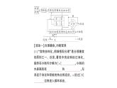 初中生物新北师大版七年级下册期末项目式学习作业课件2025春