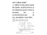 初中生物新北师大版七年级下册期末项目式学习作业课件2025春