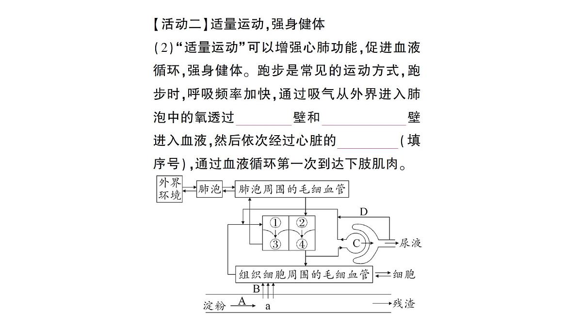 初中生物新北师大版七年级下册期末项目式学习作业课件2025春第4页