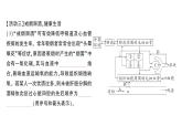 初中生物新北师大版七年级下册期末项目式学习作业课件2025春