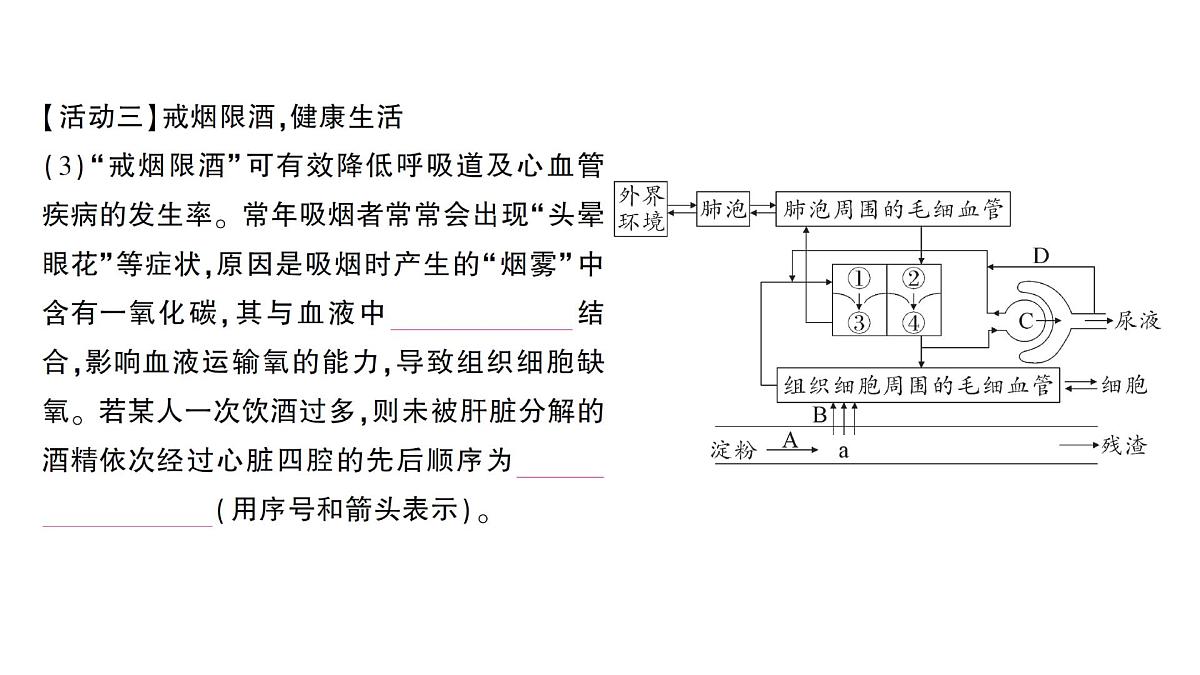 初中生物新北师大版七年级下册期末项目式学习作业课件2025春第5页