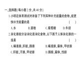 初中生物新北师大版七年级下册期末综合检测卷(第4单元第6~11章)作业课件2025春