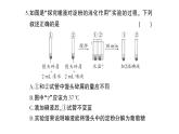 初中生物新北师大版七年级下册期末综合检测卷(第4单元第6~11章)作业课件2025春