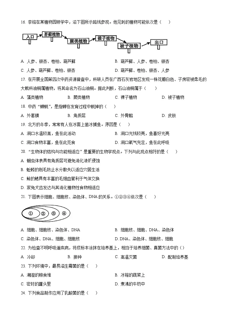 福建省泉州市永春县2024-2025学年七年级上学期期末生物试题（原卷版+解析版）第3页