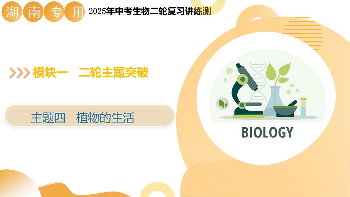 主题四 植物的生活（二轮突破课件） 2025年中考生物二轮复习讲练测（湖南专用）课件第1页