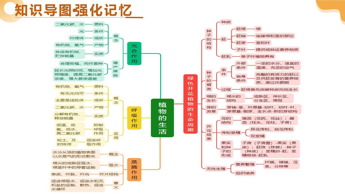 主题四 植物的生活（二轮突破课件） 2025年中考生物二轮复习讲练测（湖南专用）课件第4页