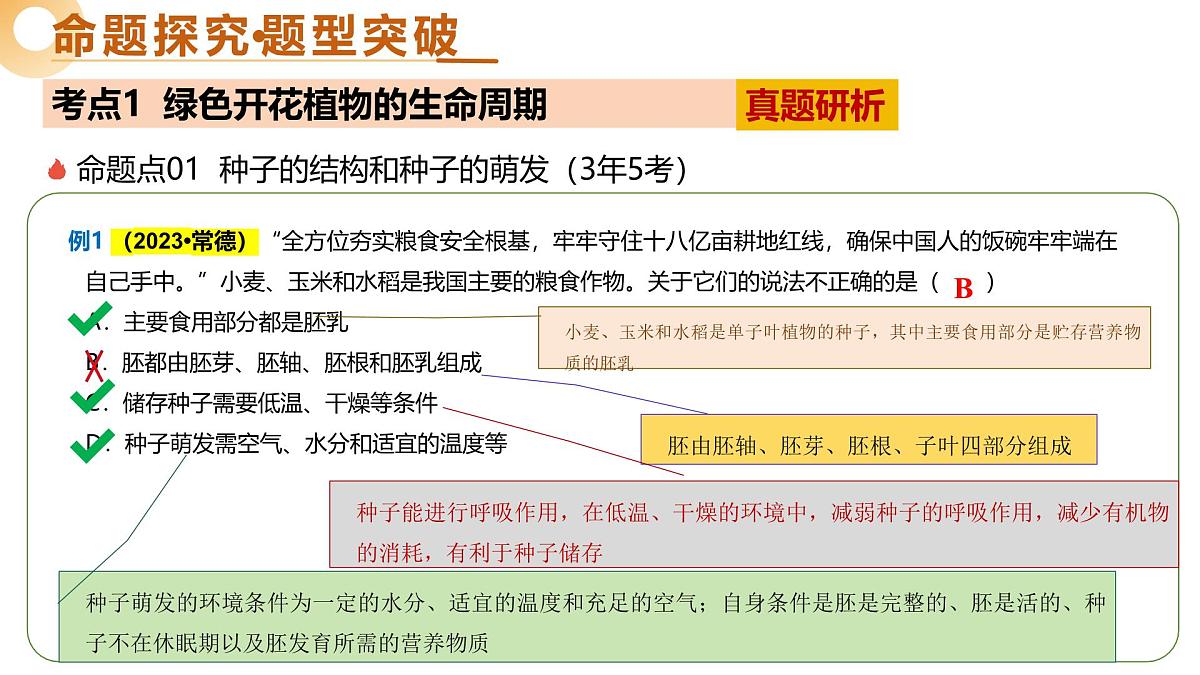 主题四 植物的生活（二轮突破课件） 2025年中考生物二轮复习讲练测（湖南专用）课件第6页