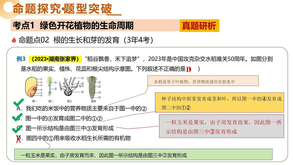 主题四 植物的生活（二轮突破课件） 2025年中考生物二轮复习讲练测（湖南专用）课件第8页