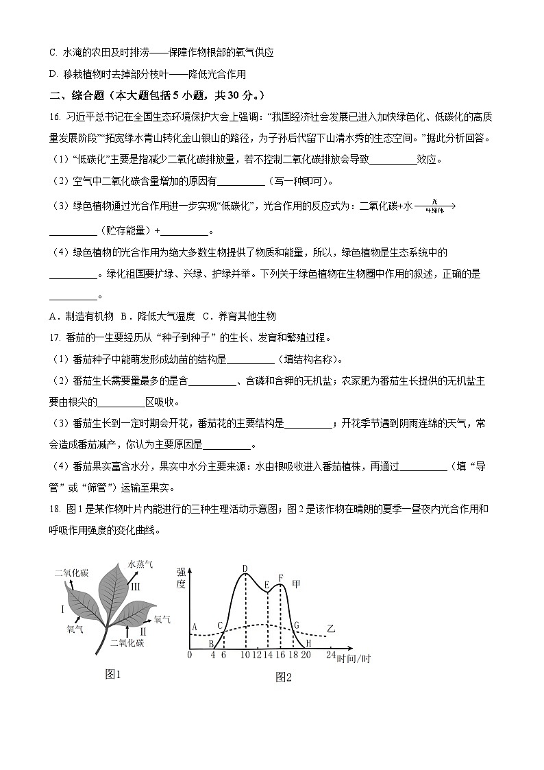 广西河池市宜州区2024-2025学年七年级上学期期末生物试题（原卷版+解析版）第3页