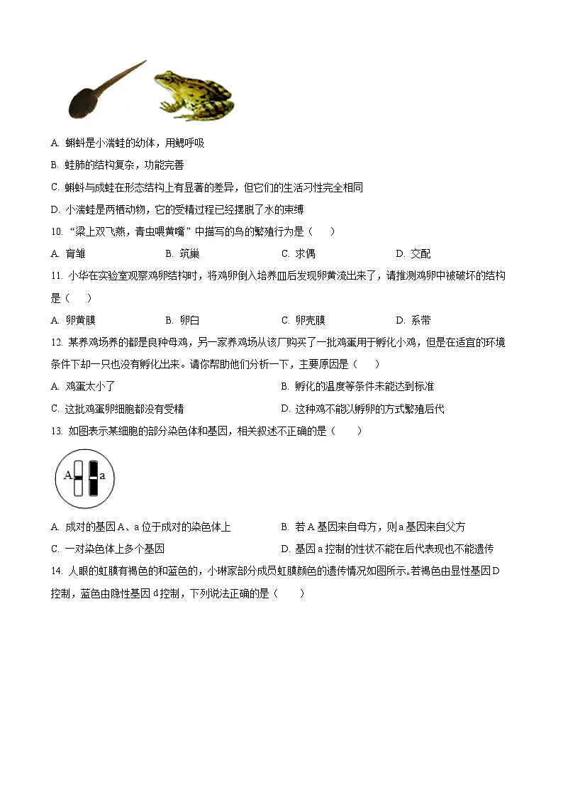 河南省平顶山市汝州市2024-2025学年八年级上学期期末生物试题（原卷版+解析版）第3页