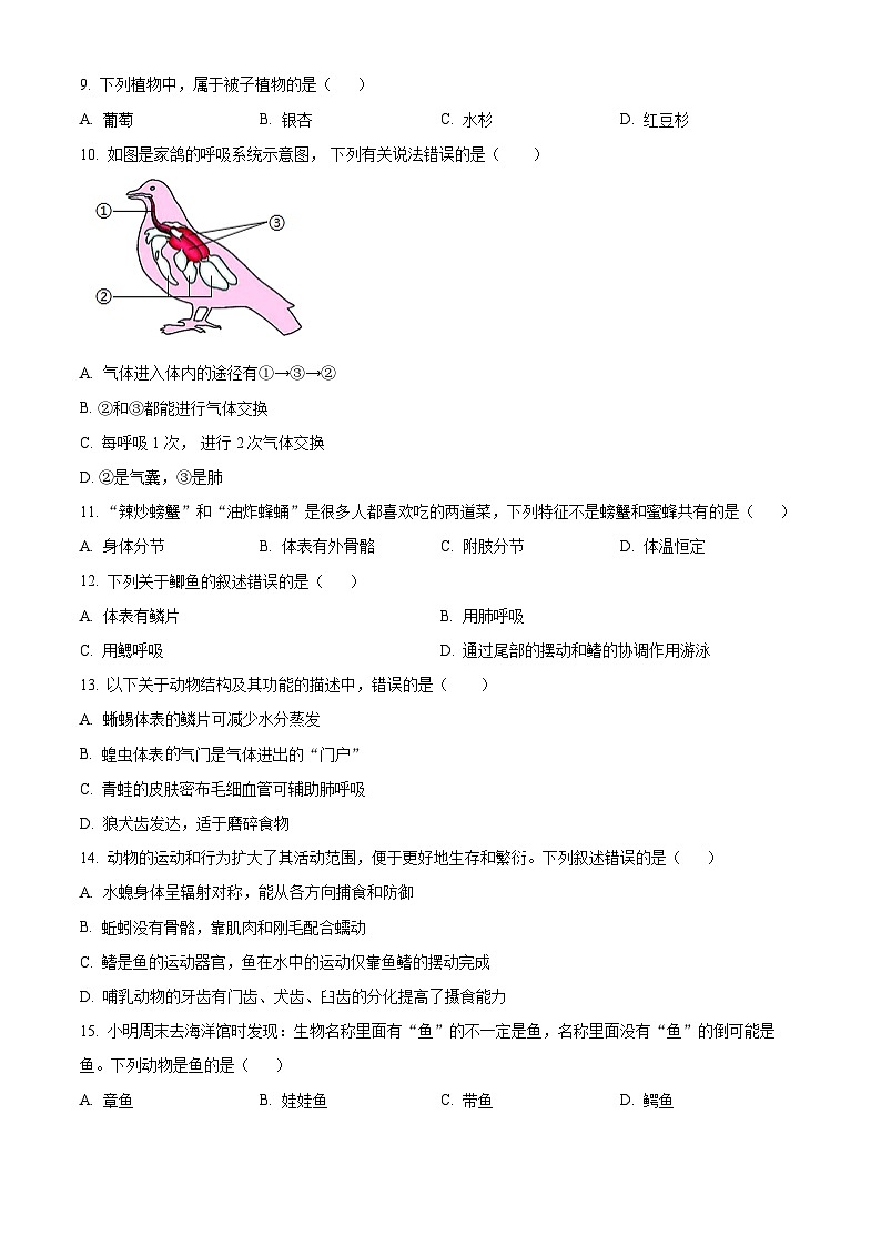 江西省景德镇市乐平市2024-2025学年七年级上学期期末生物试题（原卷版+解析版）第2页