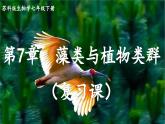 第七章 藻类与植物类群 复习课件 2025学年苏科版生物七年级下册
