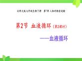 第7章第2節(jié) 血液循環(huán)（第2課時） 2025學年七年級生物下冊（北大師版2024）課件