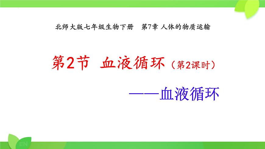 第7章第2节 血液循环（第2课时） 2025学年七年级生物下册（北大师版2024）课件第1页