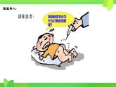 第7章第2節(jié) 血液循環(huán)（第2課時） 2025學年七年級生物下冊（北大師版2024）課件
