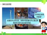 第8章第1節(jié) 食物中能量的釋放 2025學年七年級生物下冊（北大師版2024）課件
