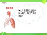 第8章第2節(jié) 人體細(xì)胞獲得氧氣的過(guò)程（第1課時(shí)）2025學(xué)年七年級(jí)生物下冊(cè)（北大師版）課件