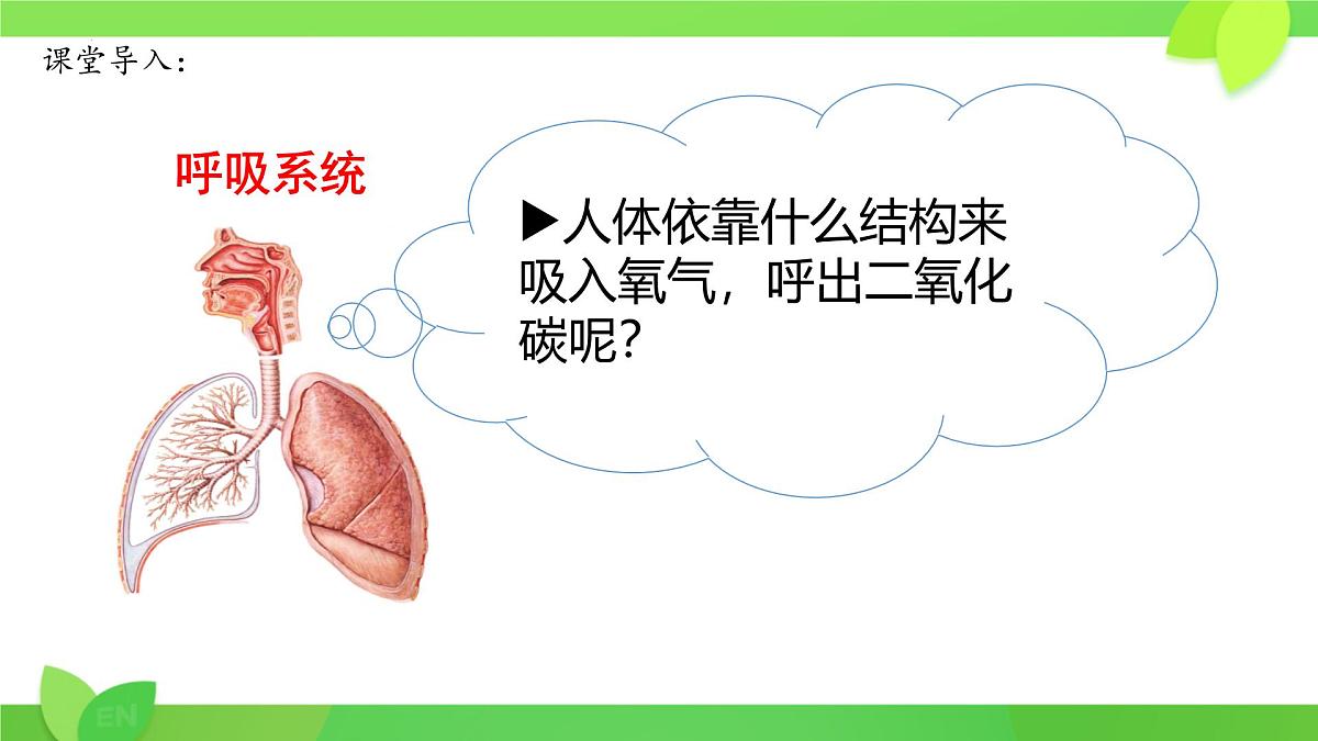 第8章第2节 人体细胞获得氧气的过程（第1课时）2025学年七年级生物下册（北大师版）课件第2页