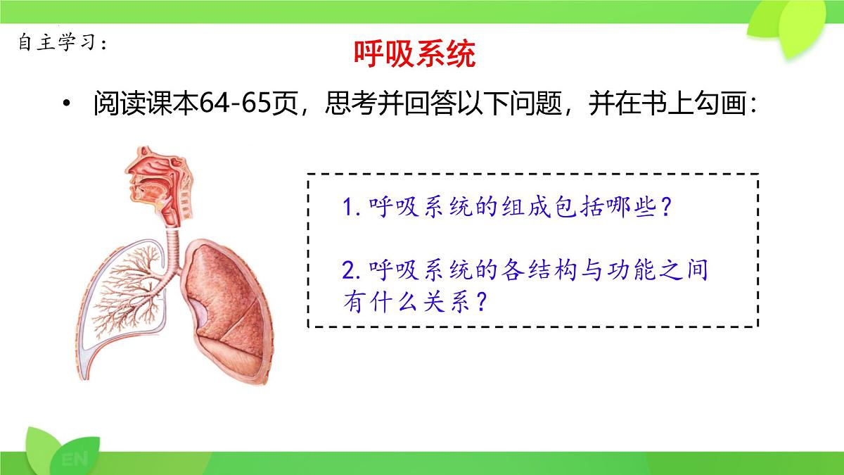 第8章第2节 人体细胞获得氧气的过程（第1课时）2025学年七年级生物下册（北大师版）课件第3页