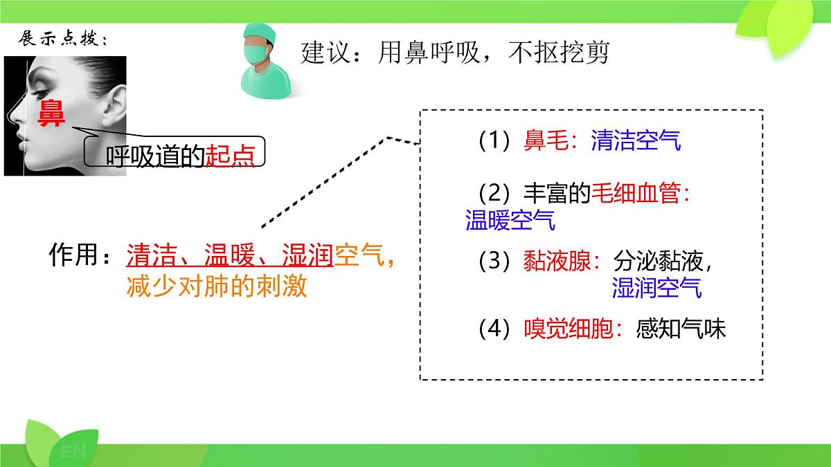 第8章第2节 人体细胞获得氧气的过程（第1课时）2025学年七年级生物下册（北大师版）课件第6页