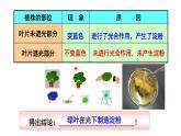 第12章 植物维持生物圈的稳定（复习课件）2025学年七年级生物下册（苏科版2024）