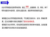 第12章 植物维持生物圈的稳定（复习课件）2025学年七年级生物下册（苏科版2024）