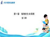 第11章 植物的生命周期（复习课件）2025学年七年级生物下册（苏科版2024）
