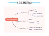 第11章 植物的生命周期（复习课件）2025学年七年级生物下册（苏科版2024）