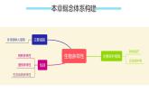 第10章 保護(hù)生物多樣性（復(fù)習(xí)課件）2025學(xué)年七年級生物下冊（蘇科版）
