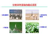 第10章 保護(hù)生物多樣性（復(fù)習(xí)課件）2025學(xué)年七年級生物下冊（蘇科版）