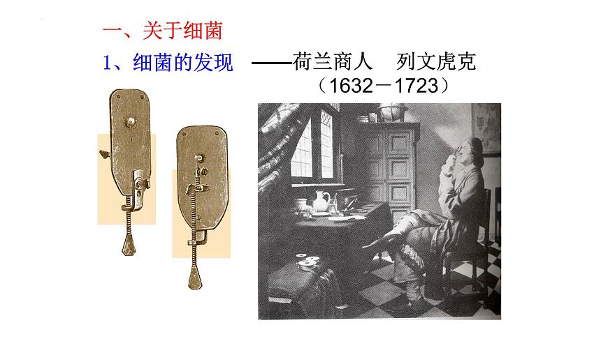 13.2 原核生物界-2024-2025学年八年级生物下册同步精品课件（北京版2024）第3页