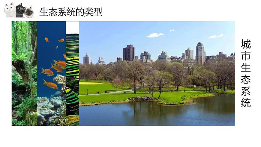 14.3 生态系统-2024-2025学年八年级生物下册同步优质课件（北京版2024）第3页