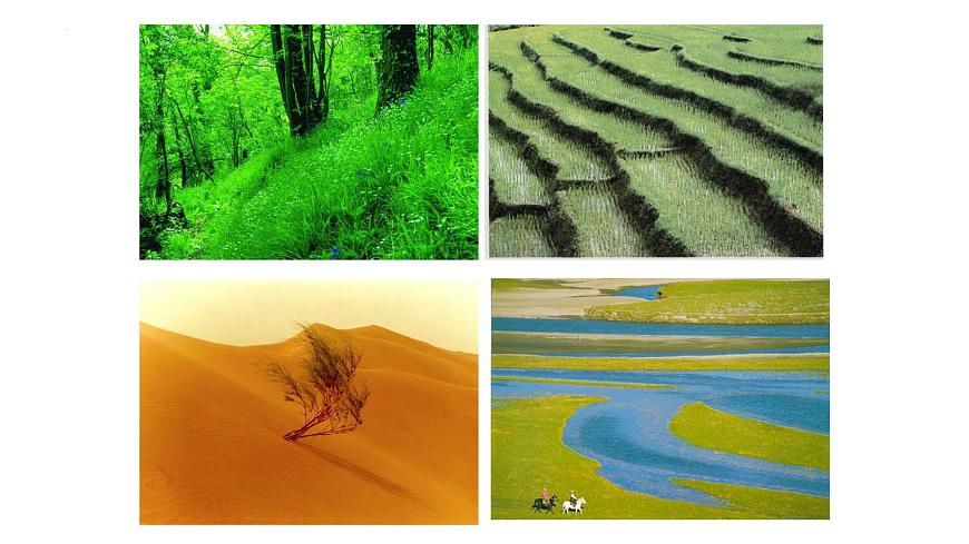 14.3 生态系统-2024-2025学年八年级生物下册同步优质课件（北京版2024）第5页