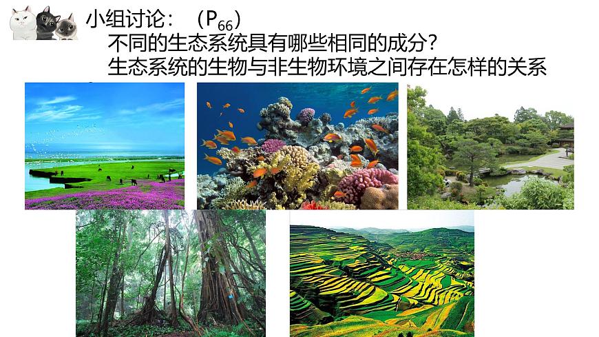 14.3 生态系统-2024-2025学年八年级生物下册同步优质课件（北京版2024）第6页