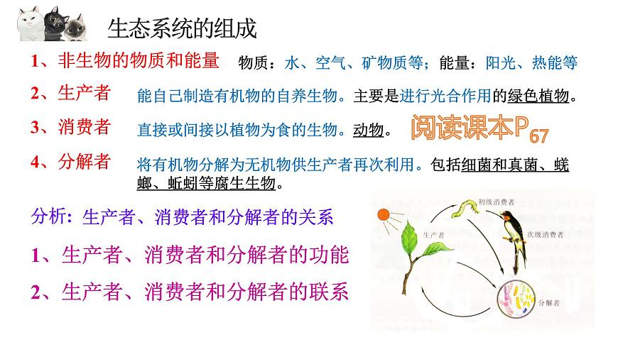 14.3 生态系统-2024-2025学年八年级生物下册同步优质课件（北京版2024）第7页