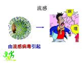 15.1 传染病-2024-2025学年八年级生物下册同步精品精品课件（北京版2024）