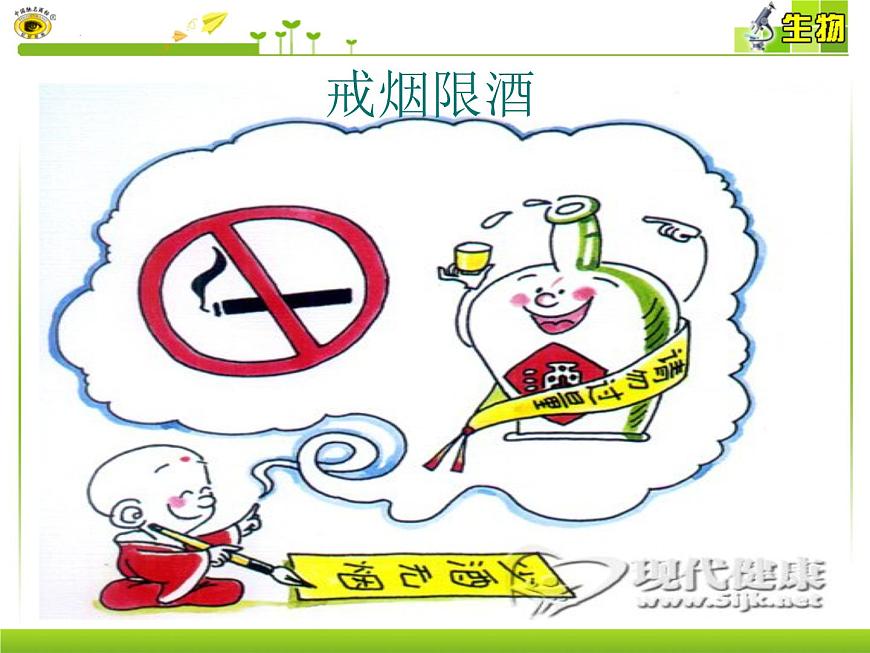 15.5 健康的生活方式-2024-2025学年八年级生物下册同步精品课件（北京版2024）第4页