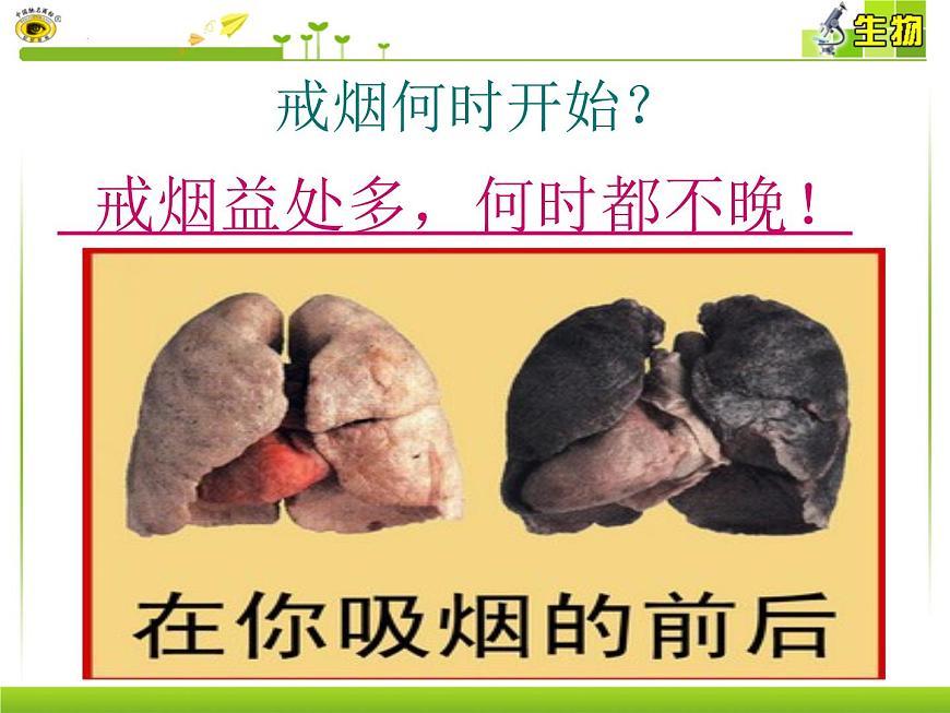 15.5 健康的生活方式-2024-2025学年八年级生物下册同步精品课件（北京版2024）第7页