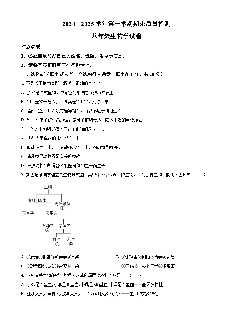 河南省宜阳县2024-2025学年八年级上学期期末生物试题（原卷版+解析版）第1页