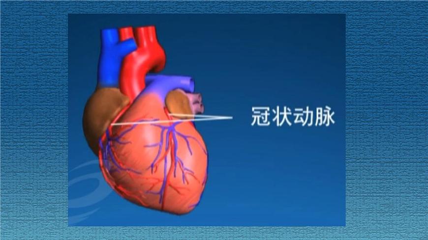 15.3 当代主要疾病及预防-2024-2025学年八年级生物下册课件（北京版2024）第7页