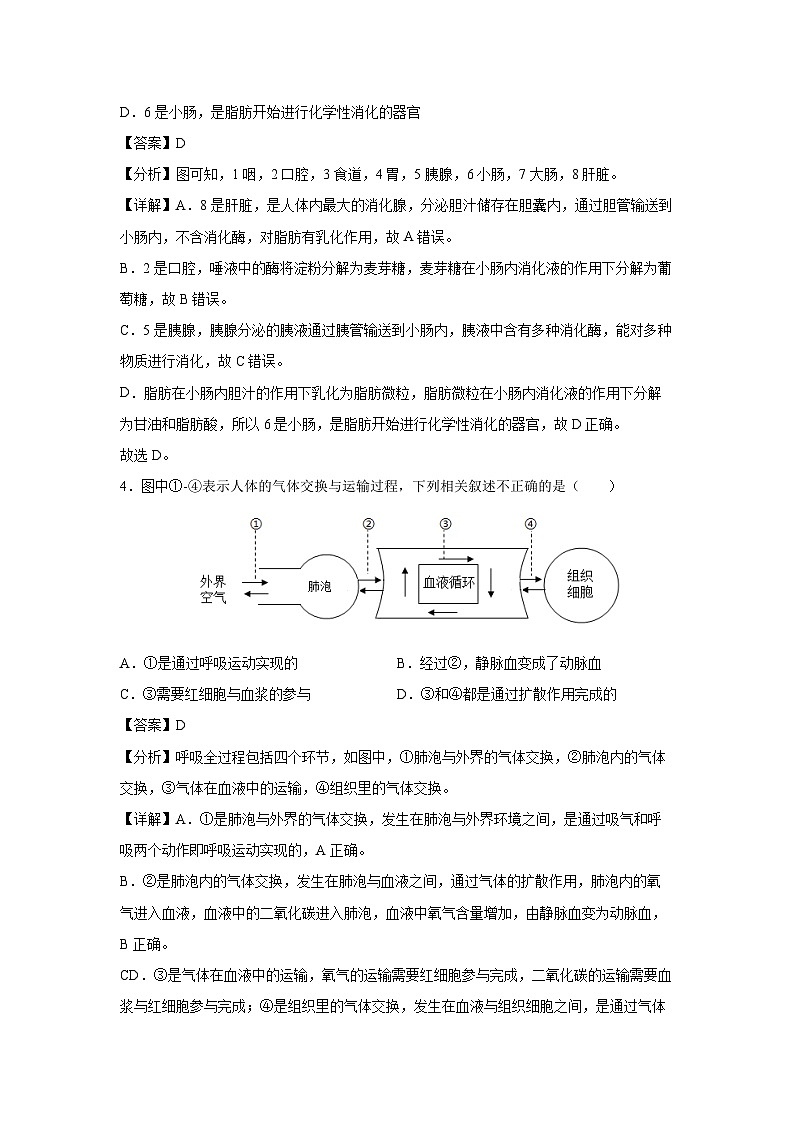 2024年中考考前最后一卷（徐州卷）生物试卷（解析版）第3页