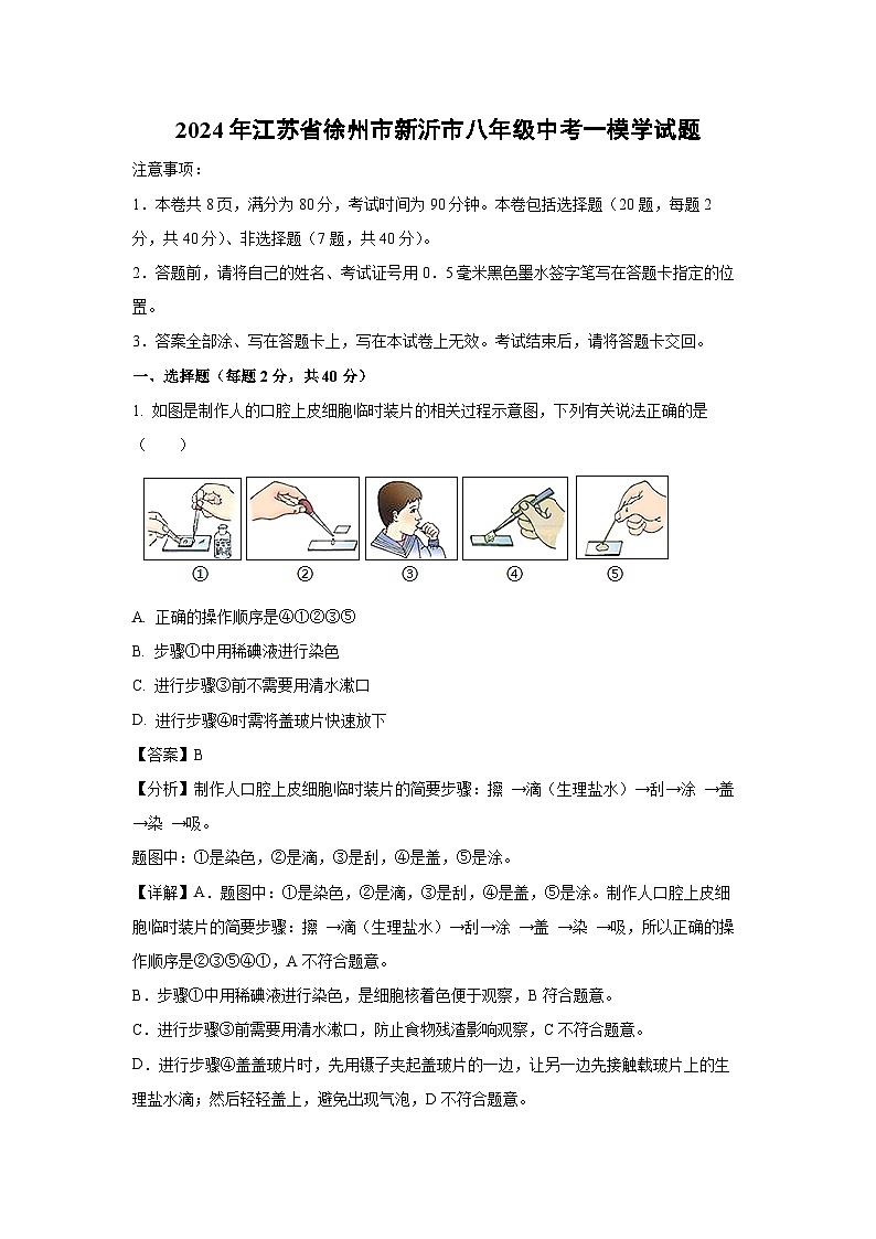 2024年江苏省徐州市新沂市八年级中考一模学生物试卷（解析版）第1页