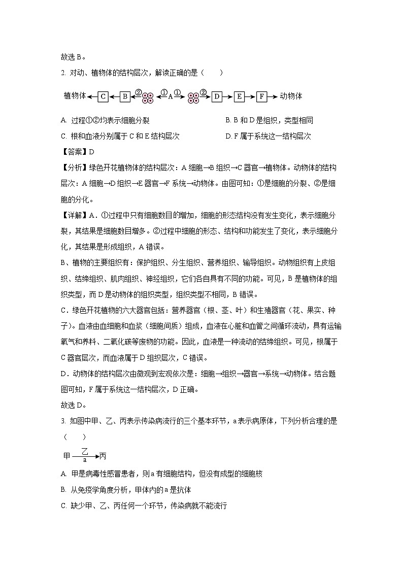 2024年江苏省徐州市新沂市八年级中考一模学生物试卷（解析版）第2页